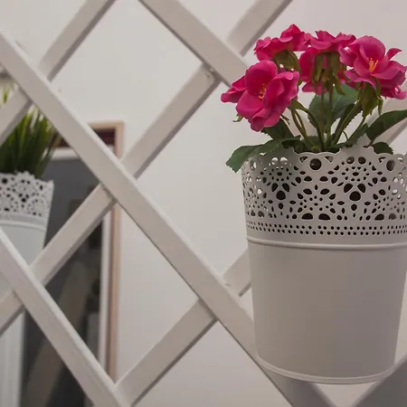 托玛尔故事旅馆 招待所 托马尔